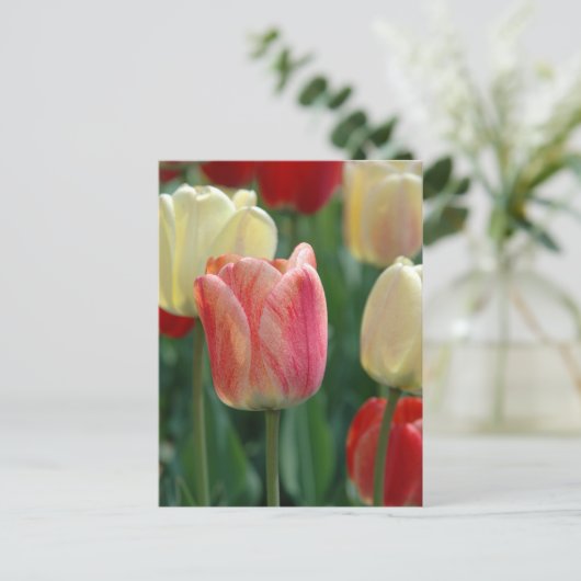 Tulpen Briefkaart (Staand voorkant)
