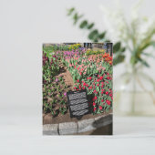 Tulpen Briefkaart (Staand voorkant)