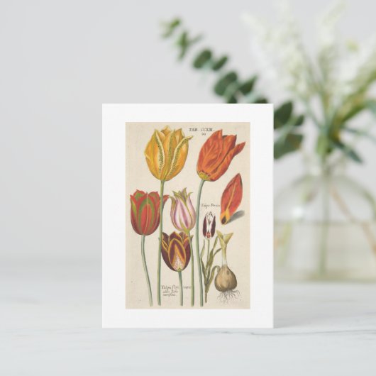 Tulpen Briefkaart (Staand voorkant)