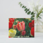 Tulpen Briefkaart (Staand voorkant)