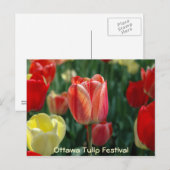 Tulpen Briefkaart (Voorkant / Achterkant)