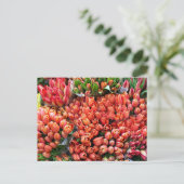 Tulpen Briefkaart (Staand voorkant)