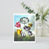  Tulpen Briefkaart (Staand voorkant)