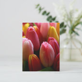 Tulpen Briefkaart (Staand voorkant)