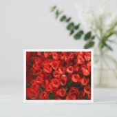 Tulpen Briefkaart (Staand voorkant)