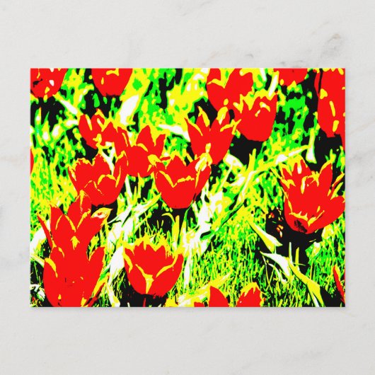 Tulpen Briefkaart (Voorkant)