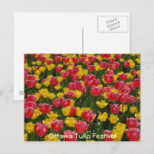 Tulpen. Briefkaart (Voorkant / Achterkant)