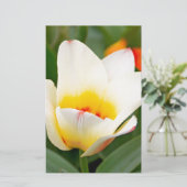 Tulpen Briefpapier (Staand voorkant)