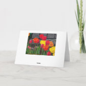 Tulpen Brights Kaart (Achterkant)