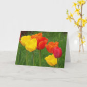 Tulpen Brights Kaart (Gele Bloem)