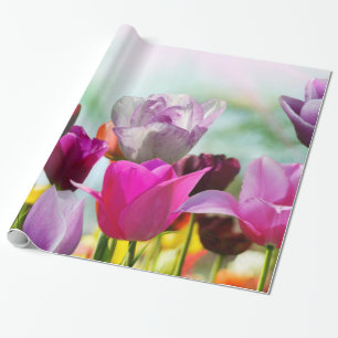 Tulpen Cadeaupapier