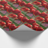 Tulpen Cadeaupapier (Hoek)
