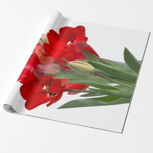 Tulpen Cadeaupapier (Uitgerold)