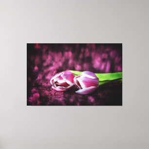 Tulpen Canvas Afdruk