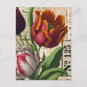 Tulpen  collage briefkaart (Voorkant)