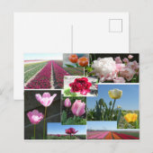 Tulpen Collage DIY Briefkaart (Voorkant / Achterkant)