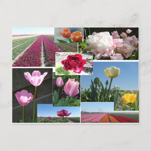 Tulpen Collage DIY Briefkaart (Voorkant)