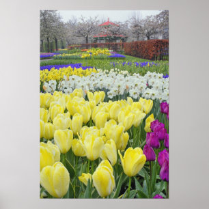 Tulpen, daffodils en bloemen van druiven voor de h poster