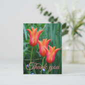 Tulpen Dank Je Postkaart (Staand voorkant)