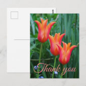 Tulpen Dank Je Postkaart (Voorkant / Achterkant)