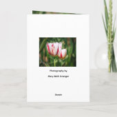 Tulpen Delight Kaart (Achterkant)