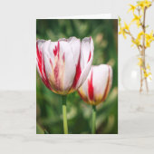 Tulpen Delight Kaart (Gele Bloem)