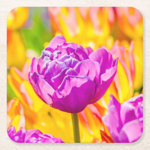 Tulpen die 12 kantelen kartonnen onderzetters