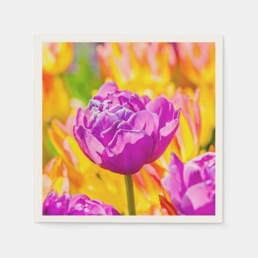 Tulpen die 12 kantelen servetten (Voorkant)