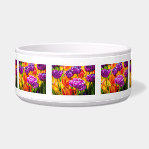 Tulpen die 12a kantelen voerbakje