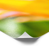 Tulpen die 14 kantelen foto afdruk (Hoek)