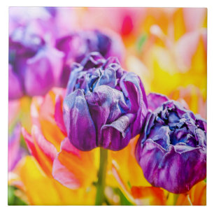 Tulpen die 14 kantelen tegeltje