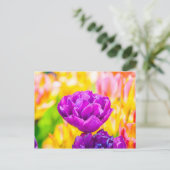 Tulpen die 15 kantelen briefkaart (Staand voorkant)