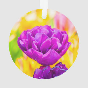 Tulpen die 15 kantelen ornament