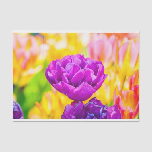 Tulpen die 15 kantelen tissuepapier (Voorkant)