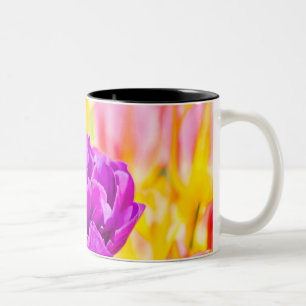 Tulpen die 15 kantelen tweekleurige koffiemok