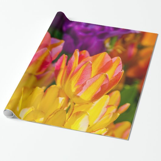 Tulpen die 16 kantelen cadeaupapier (Uitgerold)