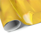 Tulpen die 16 kantelen cadeaupapier (Rol Hoek)