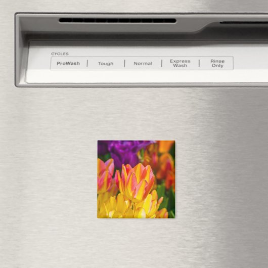 Tulpen die 16 kantelen magneet (Insitu (Vaatwasser))