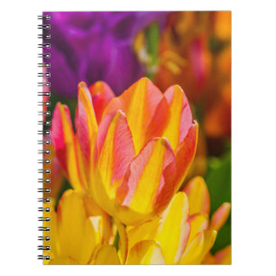 Tulpen die 16 kantelen notitieboek