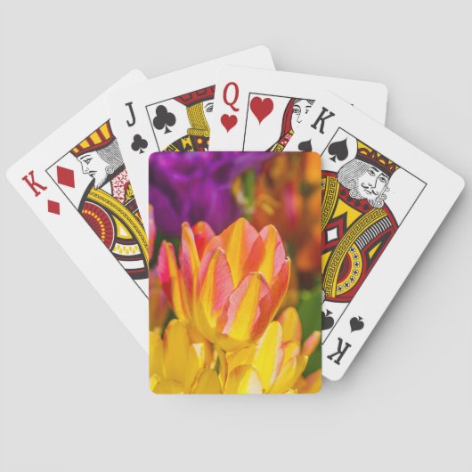 Tulpen die 16 kantelen pokerkaarten (Achterkant)