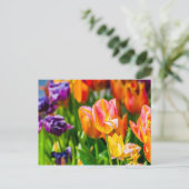 Tulpen die 17 kantelen briefkaart (Staand voorkant)