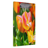 Tulpen die 17 kantelen klembord (Rechts)
