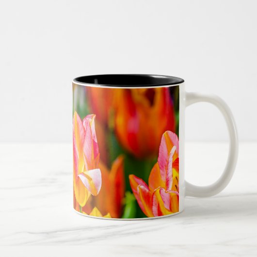 Tulpen die 17 kantelen tweekleurige koffiemok (Rechts)