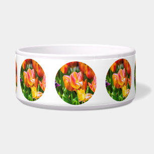 Tulpen die 17 kantelen voerbakje