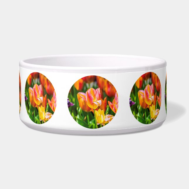Tulpen die 17 kantelen voerbakje (Voorkant)