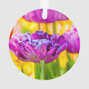 Tulpen die donkerroze betoveren ornament