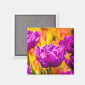Tulpen die geweld betoveren magneet (Voorkant / Achterkant)