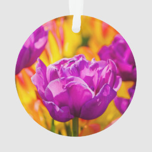 Tulpen die geweld betoveren ornament