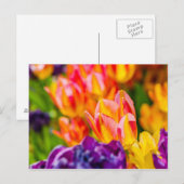 Tulpen die kantelen briefkaart (Voorkant / Achterkant)