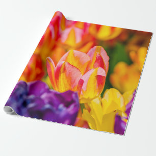 Tulpen die kantelen cadeaupapier